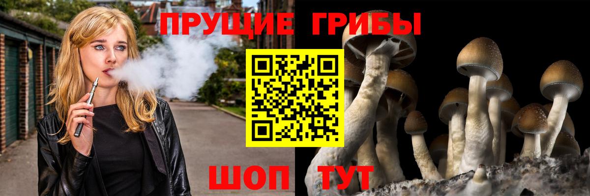 Химки  Галлюциногенные грибы Psilocybine cubensis  Вход с VPN  Галлюциногенные грибы прущие грибы 